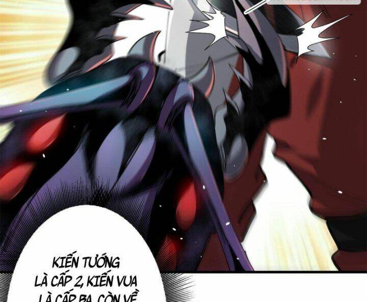 Luân Bàn Thế Giới Chapter 55 - Trang 2