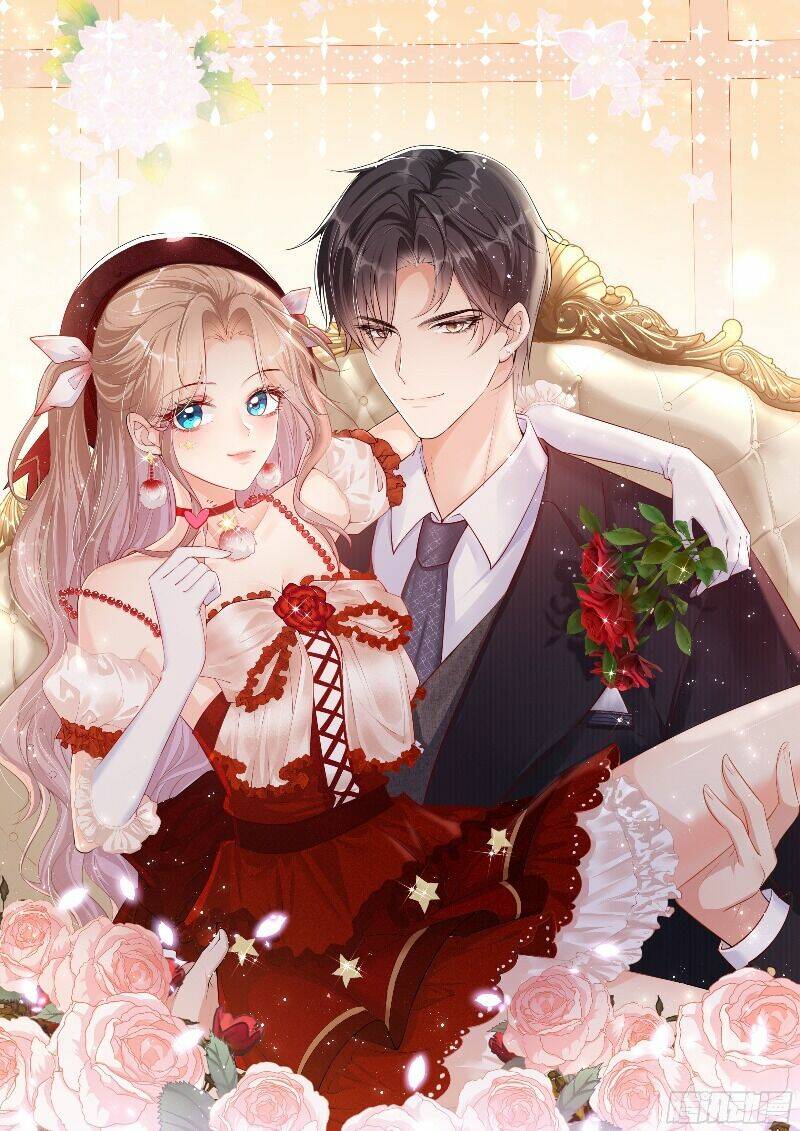 Lục Tổng, Vợ Ngài Lại Lên Top Tìm Kiếm Nữa Rồi! Chapter 0 - Trang 2