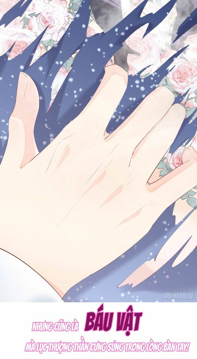 Lục Tổng, Vợ Ngài Lại Lên Top Tìm Kiếm Nữa Rồi! Chapter 0 - Trang 2