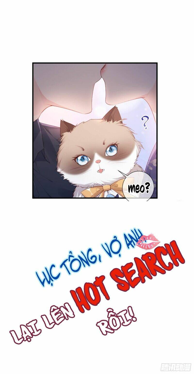 Lục Tổng, Vợ Ngài Lại Lên Top Tìm Kiếm Nữa Rồi! Chapter 0 - Trang 2
