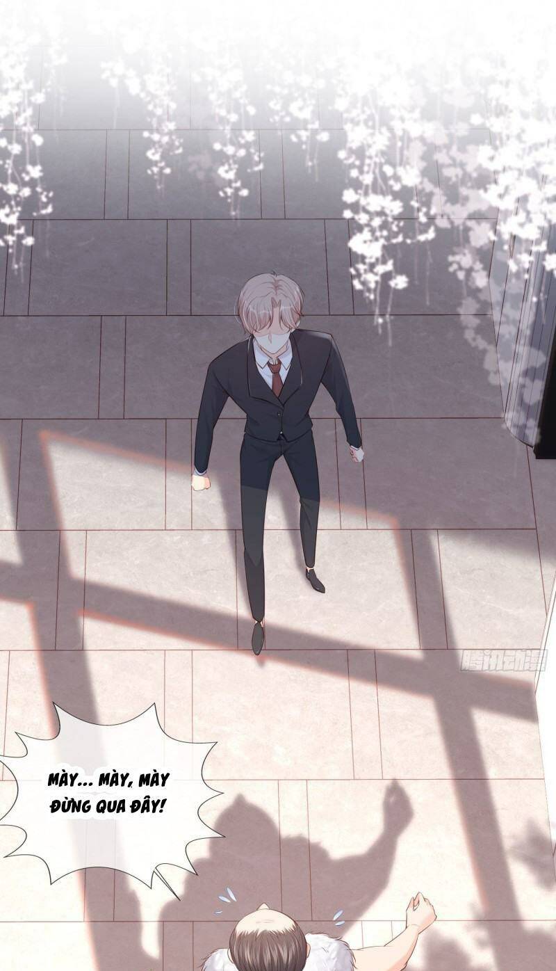 Lục Tổng, Vợ Ngài Lại Lên Top Tìm Kiếm Nữa Rồi! Chapter 1 - Trang 2