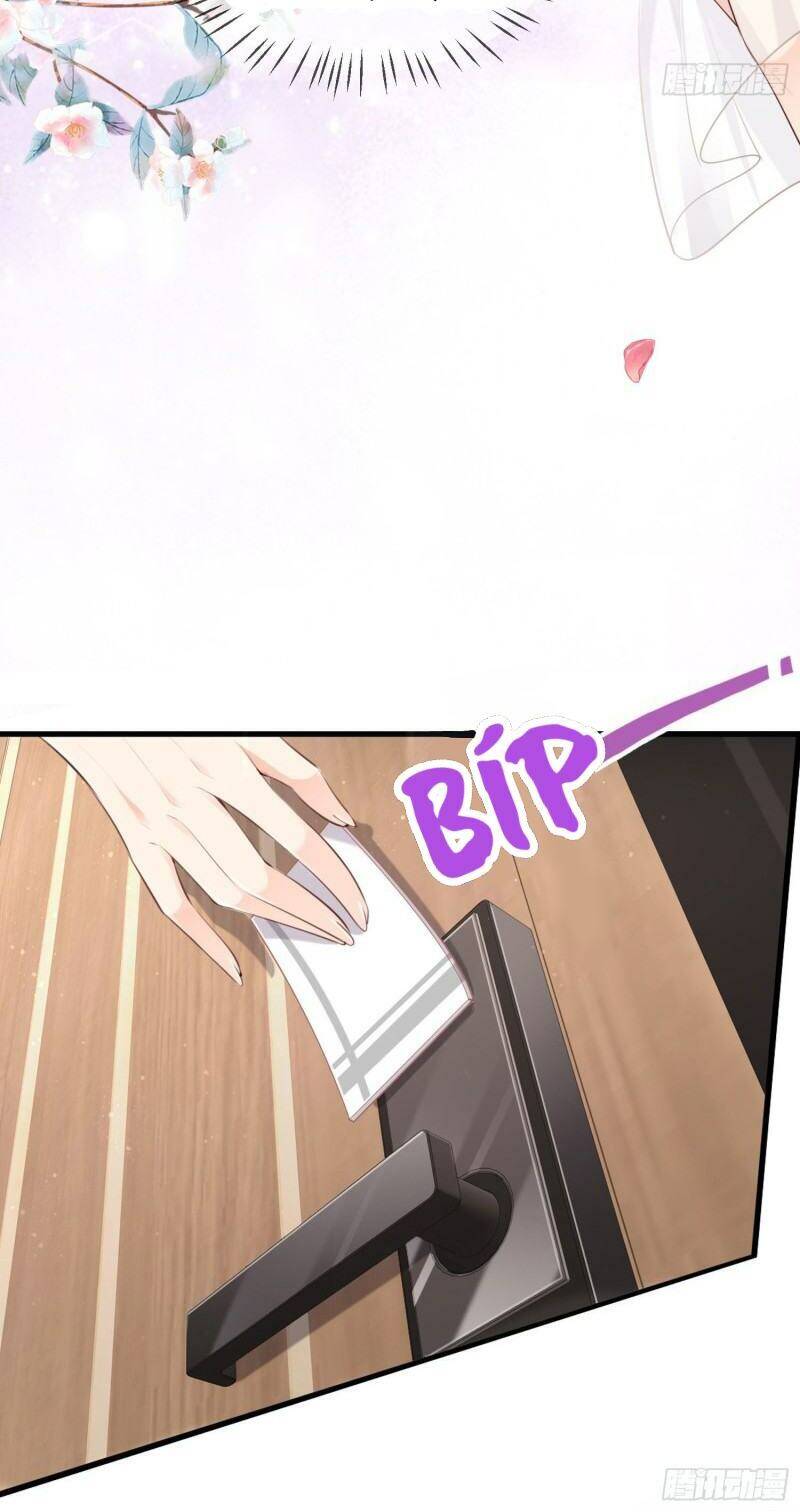 Lục Tổng, Vợ Ngài Lại Lên Top Tìm Kiếm Nữa Rồi! Chapter 1 - Trang 2