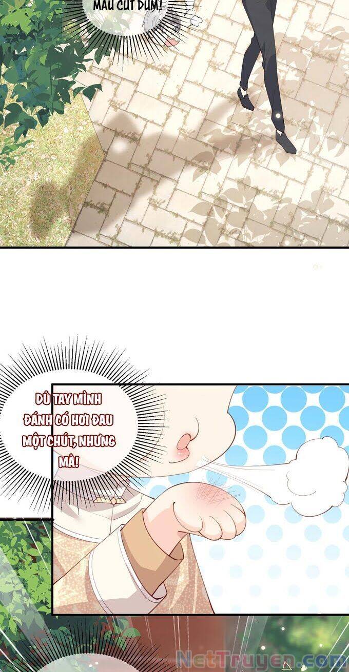 Lục Tổng, Vợ Ngài Lại Lên Top Tìm Kiếm Nữa Rồi! Chapter 10 - Trang 2