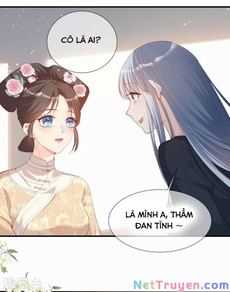 Lục Tổng, Vợ Ngài Lại Lên Top Tìm Kiếm Nữa Rồi! Chapter 16 - Trang 2