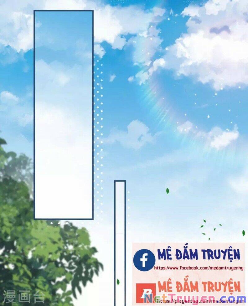 Lục Tổng, Vợ Ngài Lại Lên Top Tìm Kiếm Nữa Rồi! Chapter 16 - Trang 2