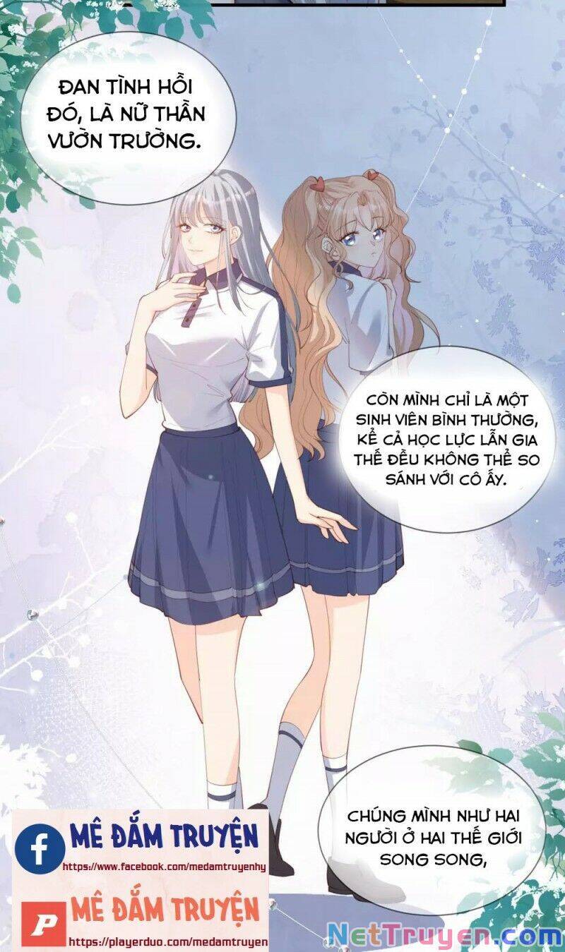 Lục Tổng, Vợ Ngài Lại Lên Top Tìm Kiếm Nữa Rồi! Chapter 16 - Trang 2