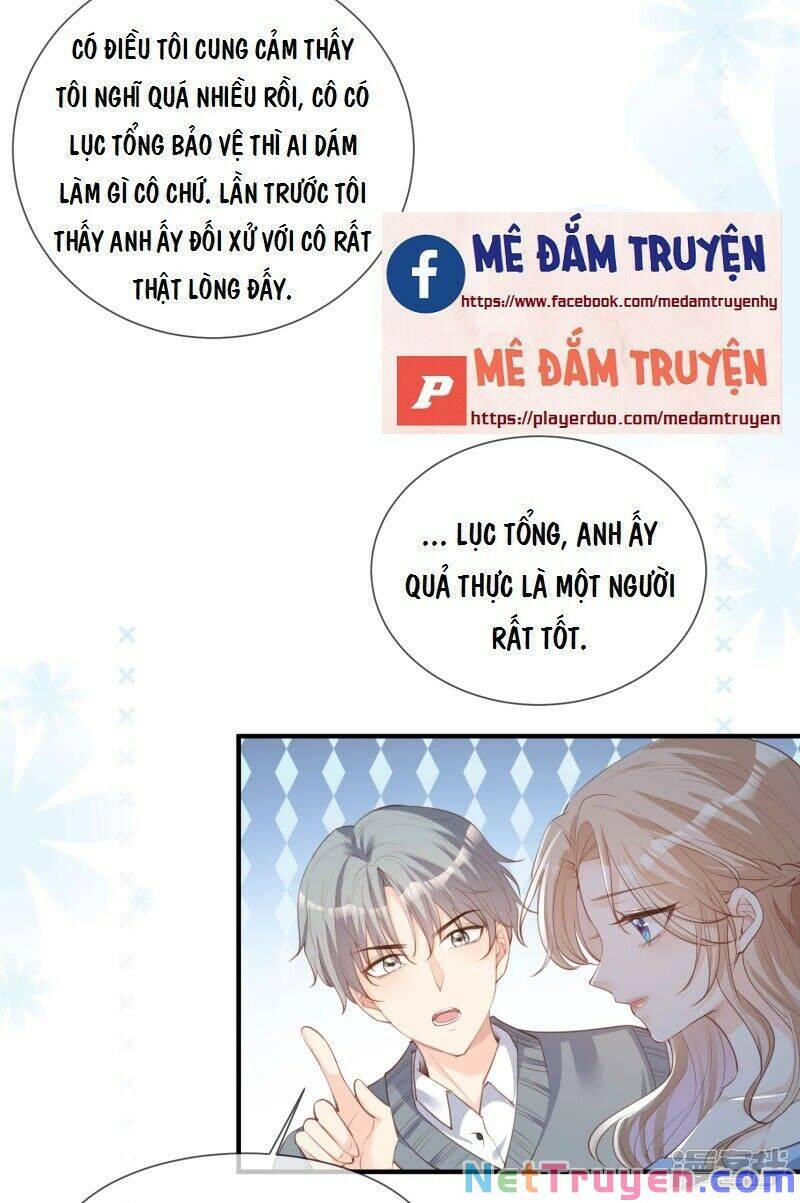 Lục Tổng, Vợ Ngài Lại Lên Top Tìm Kiếm Nữa Rồi! Chapter 17 - Trang 2