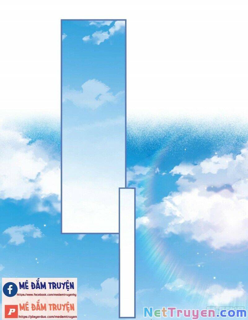 Lục Tổng, Vợ Ngài Lại Lên Top Tìm Kiếm Nữa Rồi! Chapter 18 - Trang 2