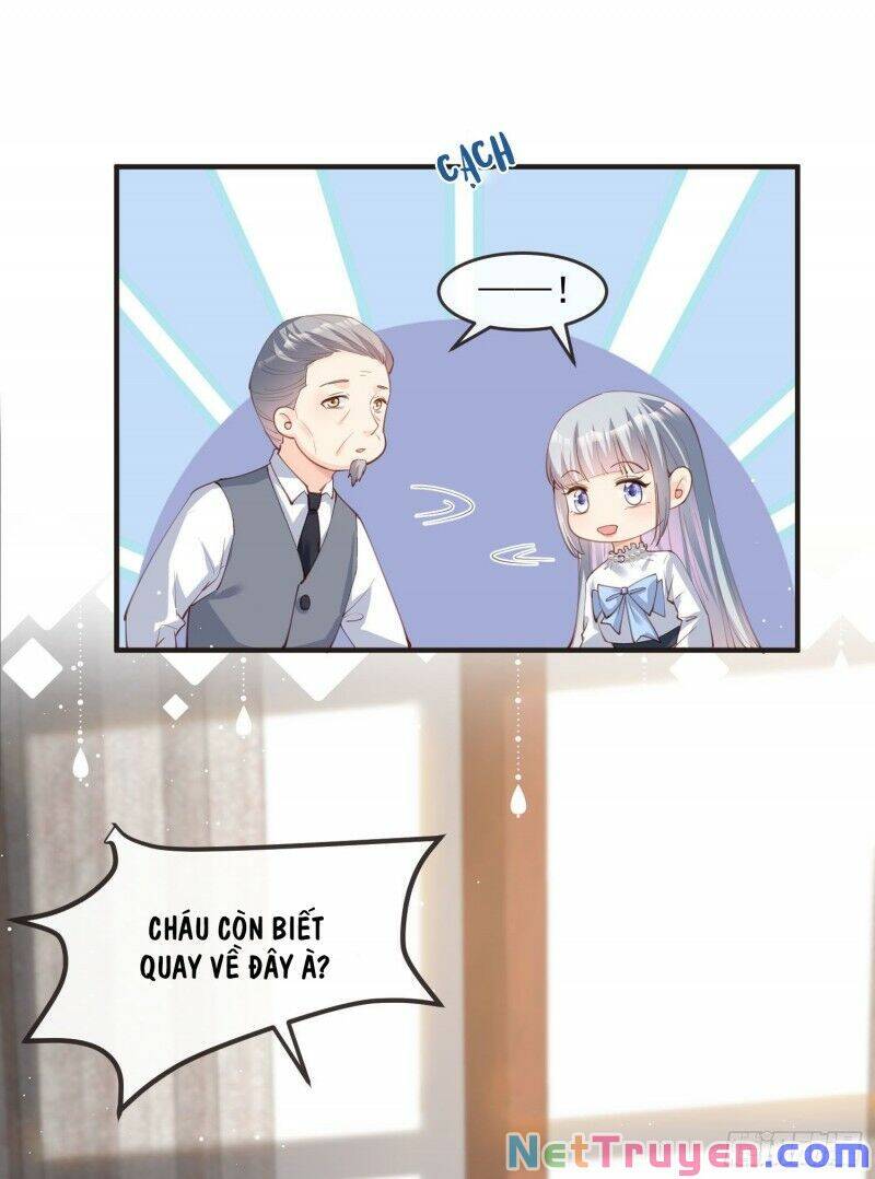 Lục Tổng, Vợ Ngài Lại Lên Top Tìm Kiếm Nữa Rồi! Chapter 19 - Trang 2