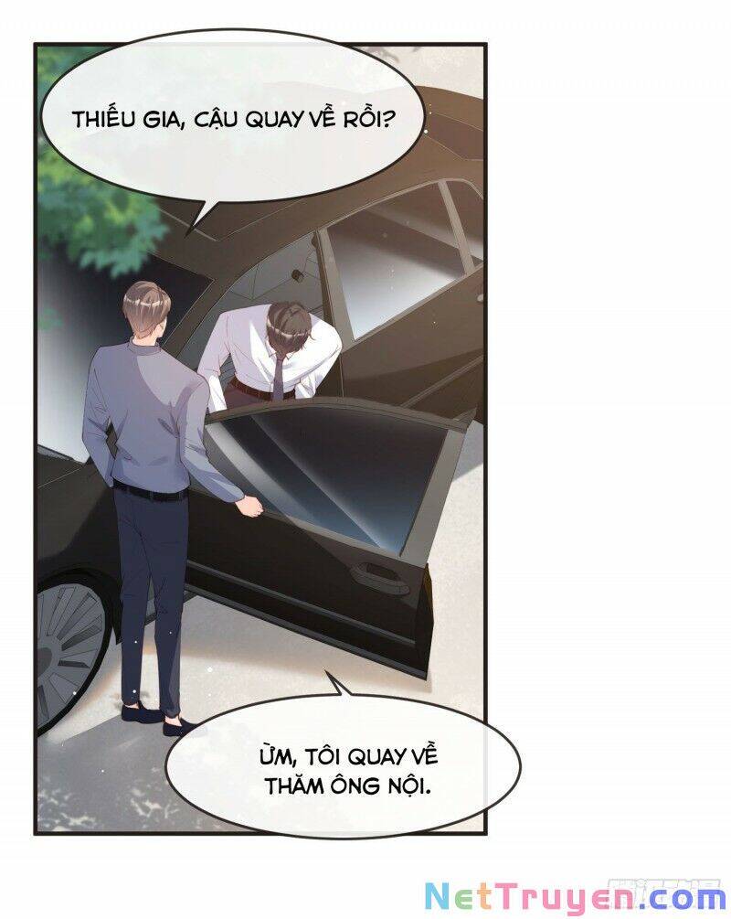 Lục Tổng, Vợ Ngài Lại Lên Top Tìm Kiếm Nữa Rồi! Chapter 19 - Trang 2