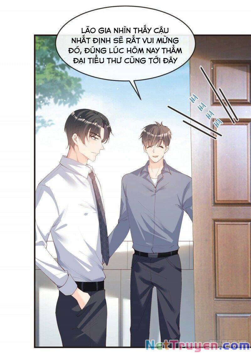 Lục Tổng, Vợ Ngài Lại Lên Top Tìm Kiếm Nữa Rồi! Chapter 19 - Trang 2