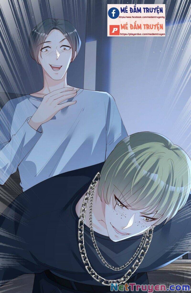 Lục Tổng, Vợ Ngài Lại Lên Top Tìm Kiếm Nữa Rồi! Chapter 20 - Trang 2