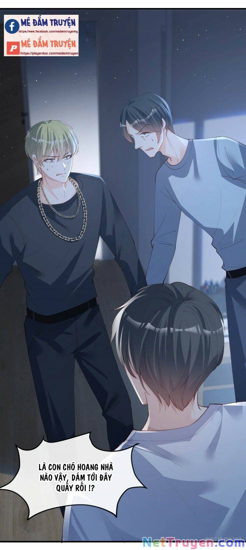 Lục Tổng, Vợ Ngài Lại Lên Top Tìm Kiếm Nữa Rồi! Chapter 20 - Trang 2