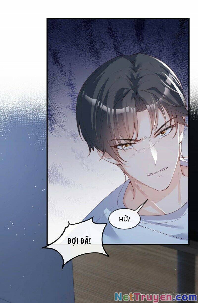 Lục Tổng, Vợ Ngài Lại Lên Top Tìm Kiếm Nữa Rồi! Chapter 20 - Trang 2