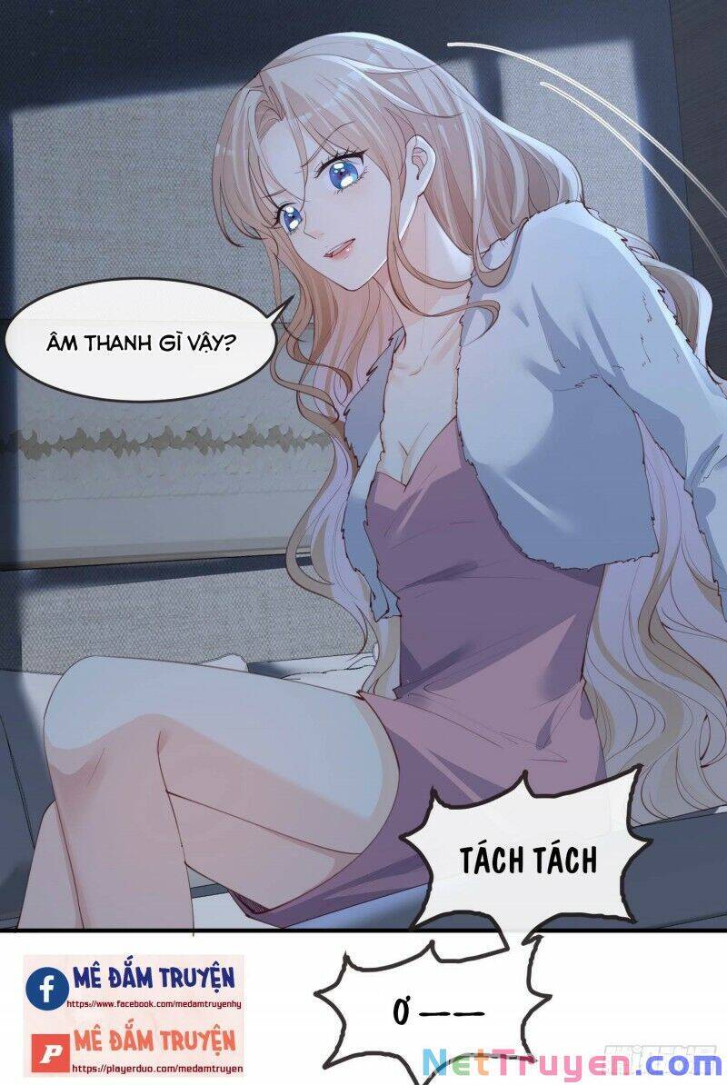 Lục Tổng, Vợ Ngài Lại Lên Top Tìm Kiếm Nữa Rồi! Chapter 20 - Trang 2