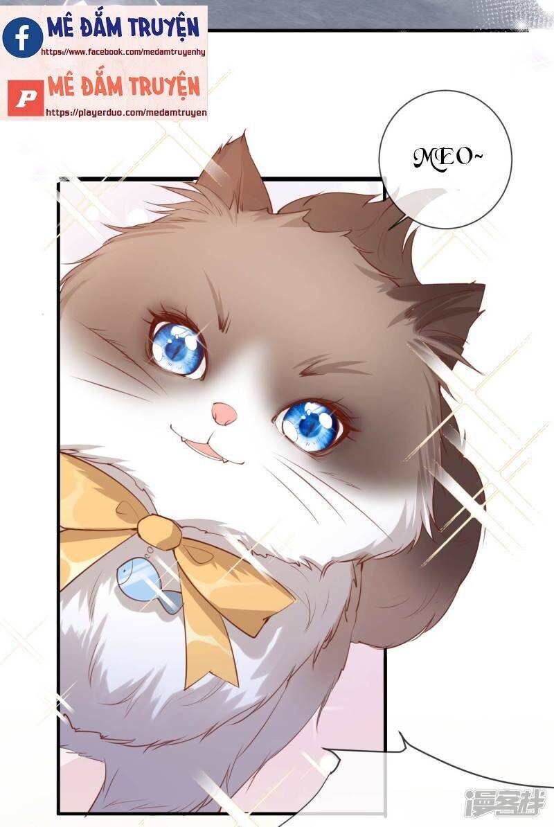 Lục Tổng, Vợ Ngài Lại Lên Top Tìm Kiếm Nữa Rồi! Chapter 3 - Trang 2