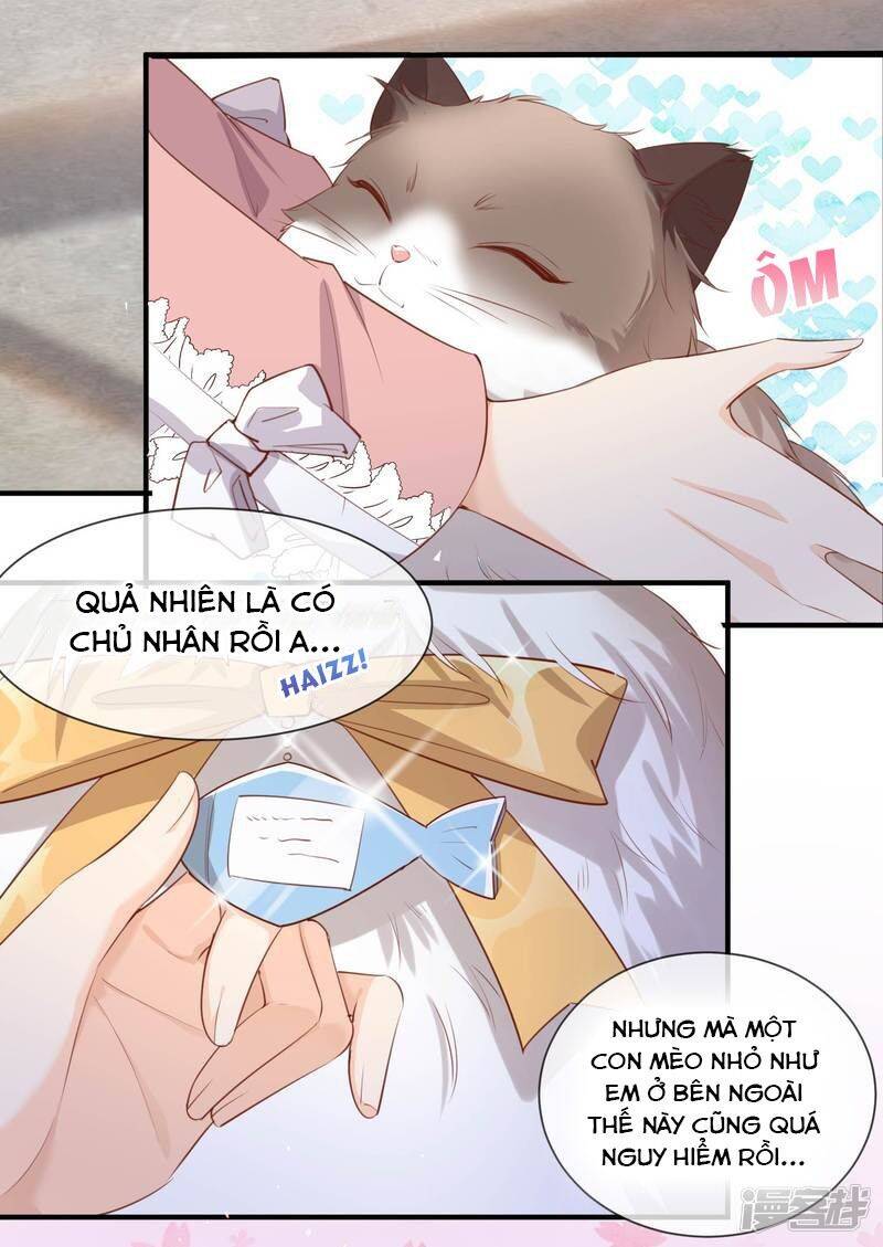 Lục Tổng, Vợ Ngài Lại Lên Top Tìm Kiếm Nữa Rồi! Chapter 3 - Trang 2