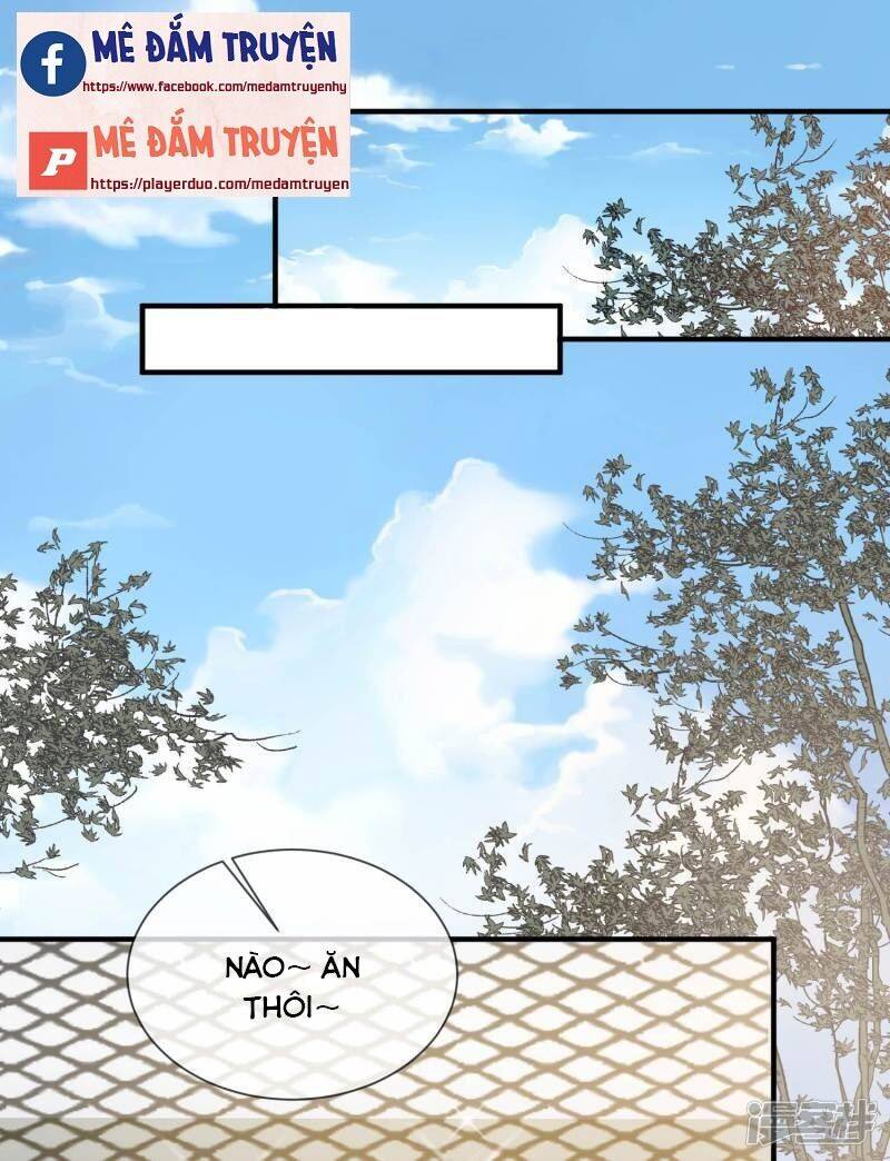 Lục Tổng, Vợ Ngài Lại Lên Top Tìm Kiếm Nữa Rồi! Chapter 3 - Trang 2