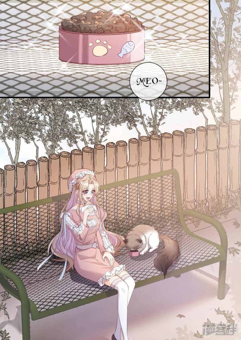 Lục Tổng, Vợ Ngài Lại Lên Top Tìm Kiếm Nữa Rồi! Chapter 3 - Trang 2