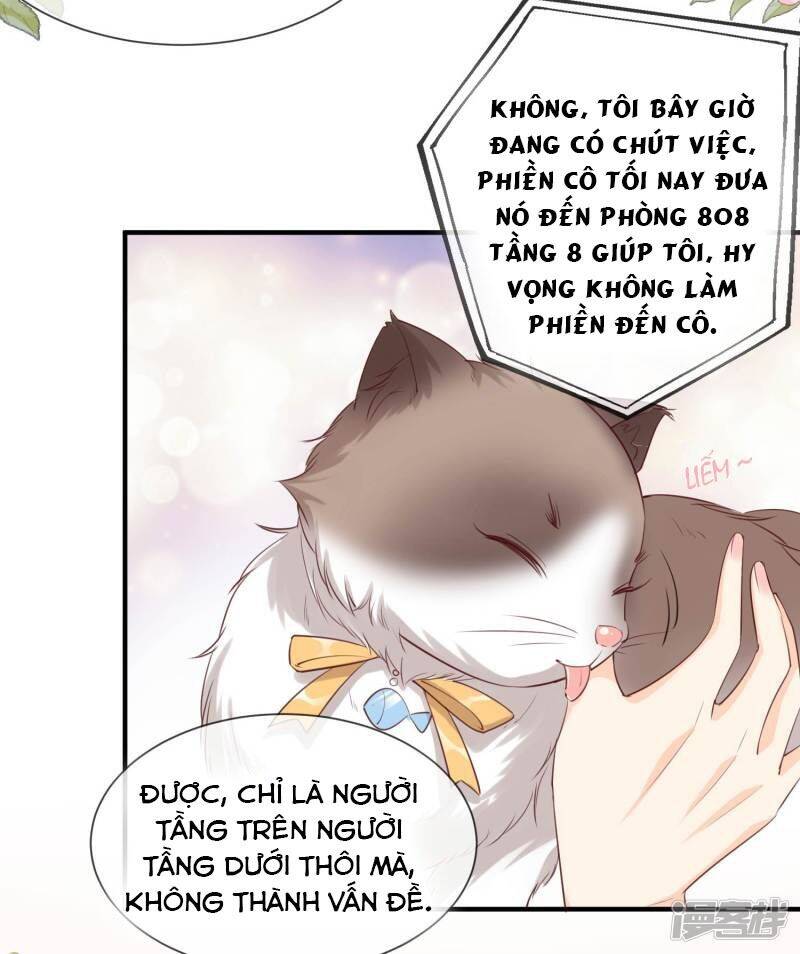 Lục Tổng, Vợ Ngài Lại Lên Top Tìm Kiếm Nữa Rồi! Chapter 3 - Trang 2