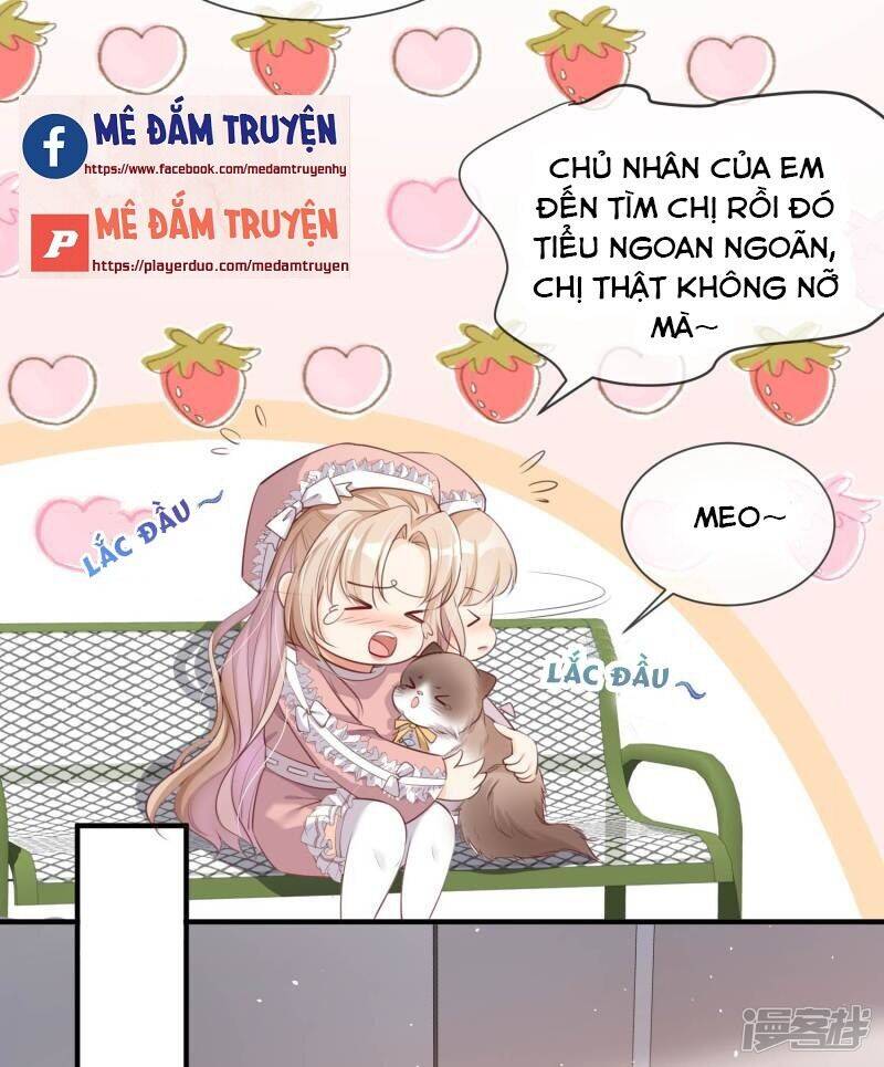 Lục Tổng, Vợ Ngài Lại Lên Top Tìm Kiếm Nữa Rồi! Chapter 3 - Trang 2