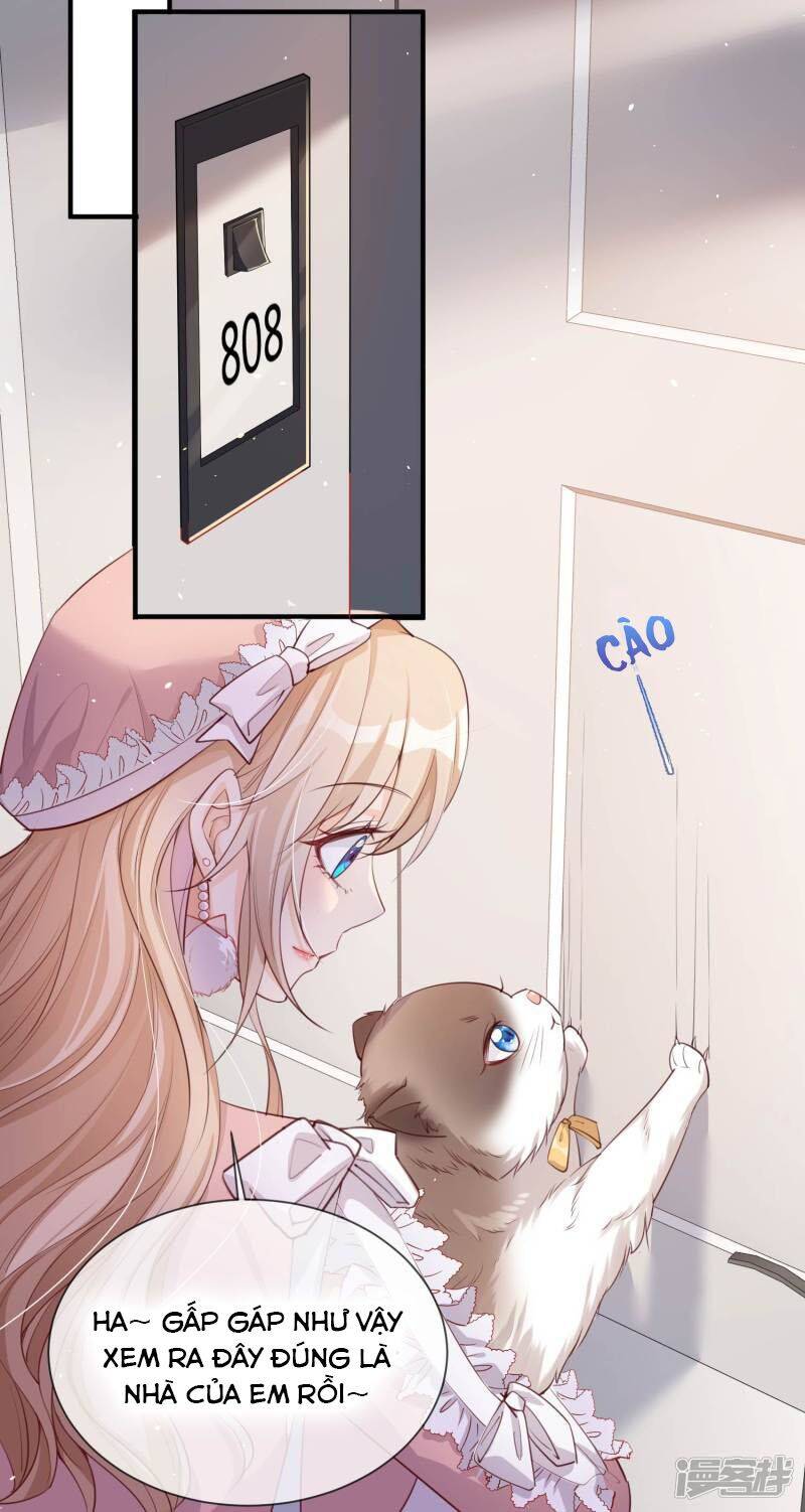 Lục Tổng, Vợ Ngài Lại Lên Top Tìm Kiếm Nữa Rồi! Chapter 3 - Trang 2