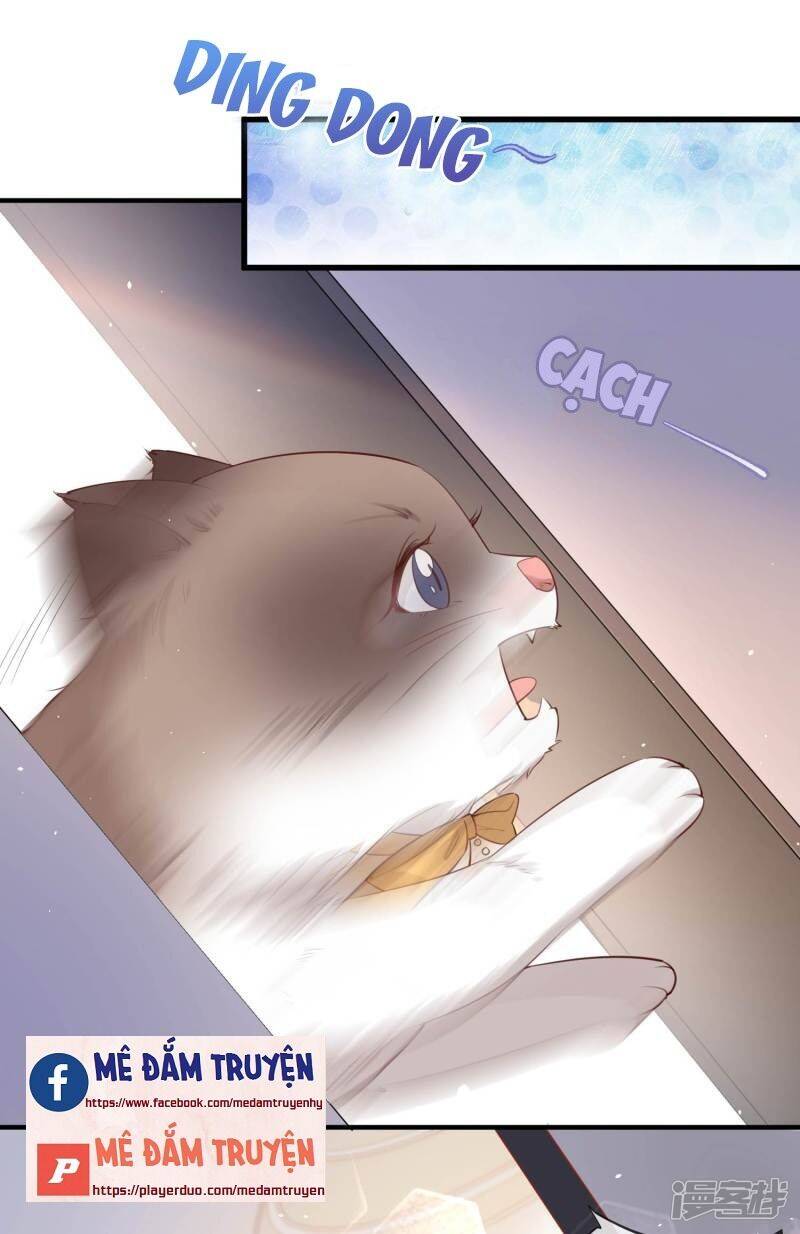 Lục Tổng, Vợ Ngài Lại Lên Top Tìm Kiếm Nữa Rồi! Chapter 3 - Trang 2