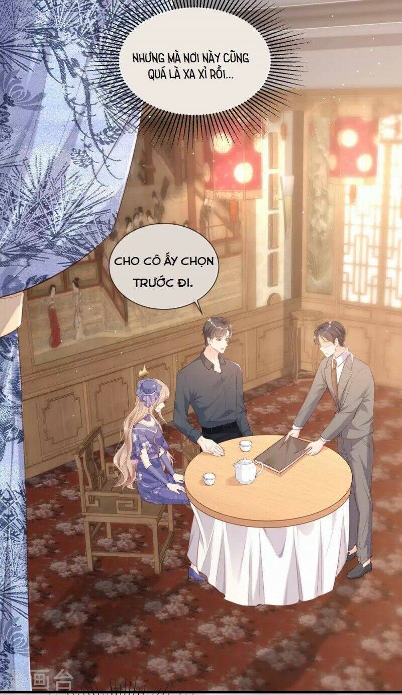 Lục Tổng, Vợ Ngài Lại Lên Top Tìm Kiếm Nữa Rồi! Chapter 4 - Trang 2