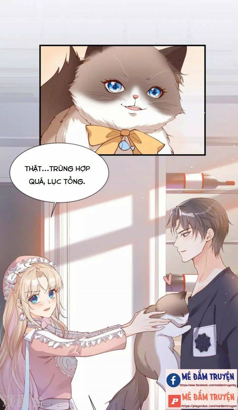 Lục Tổng, Vợ Ngài Lại Lên Top Tìm Kiếm Nữa Rồi! Chapter 4 - Trang 2