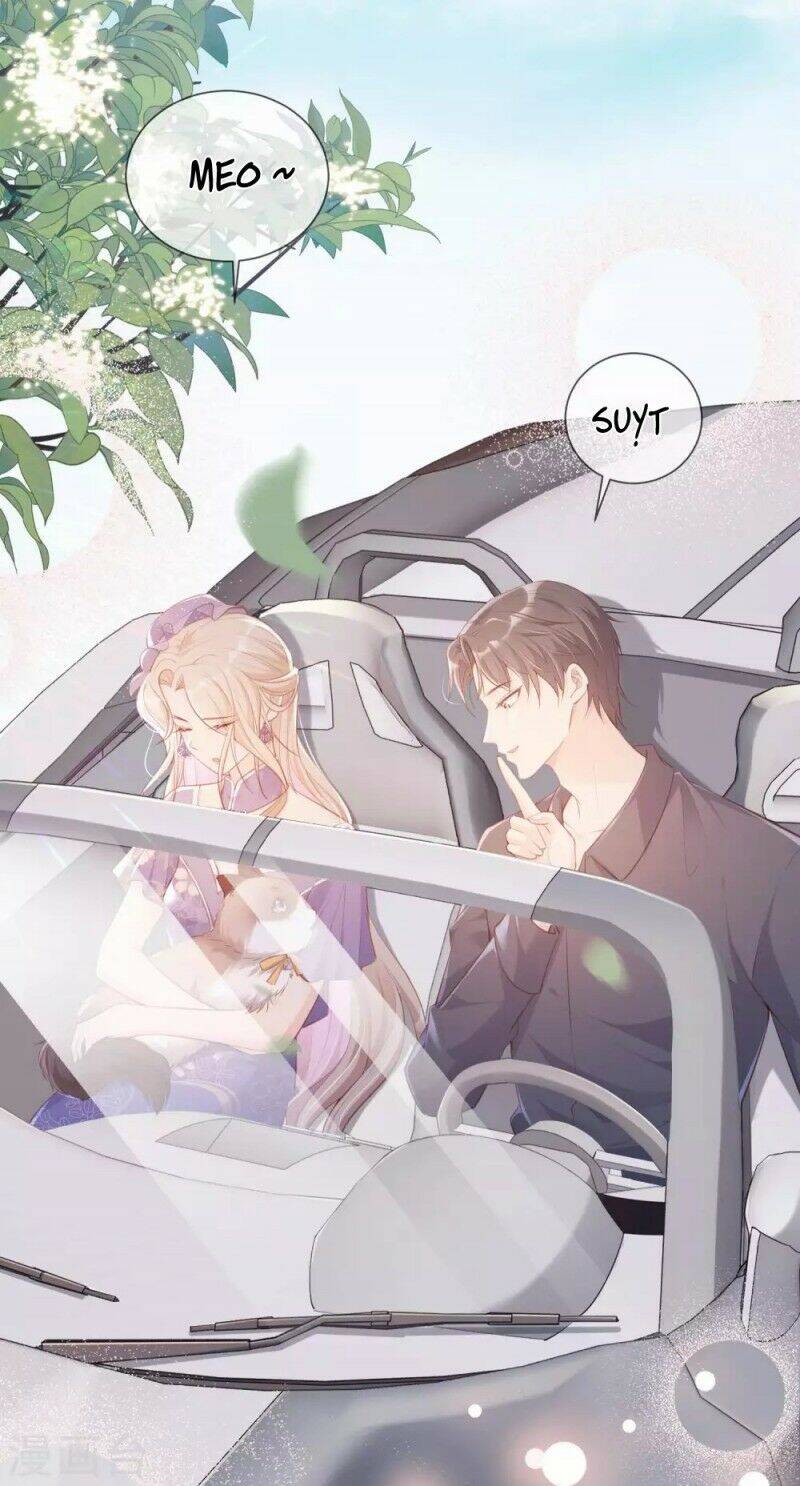 Lục Tổng, Vợ Ngài Lại Lên Top Tìm Kiếm Nữa Rồi! Chapter 4 - Trang 2