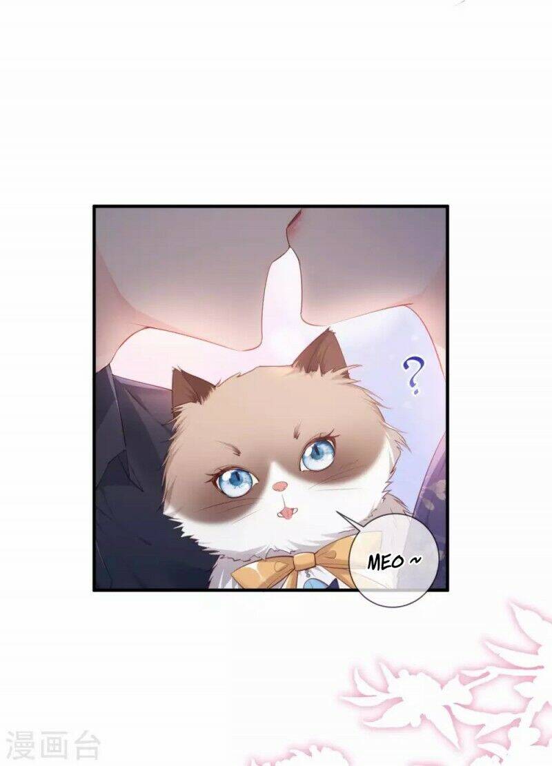 Lục Tổng, Vợ Ngài Lại Lên Top Tìm Kiếm Nữa Rồi! Chapter 4 - Trang 2