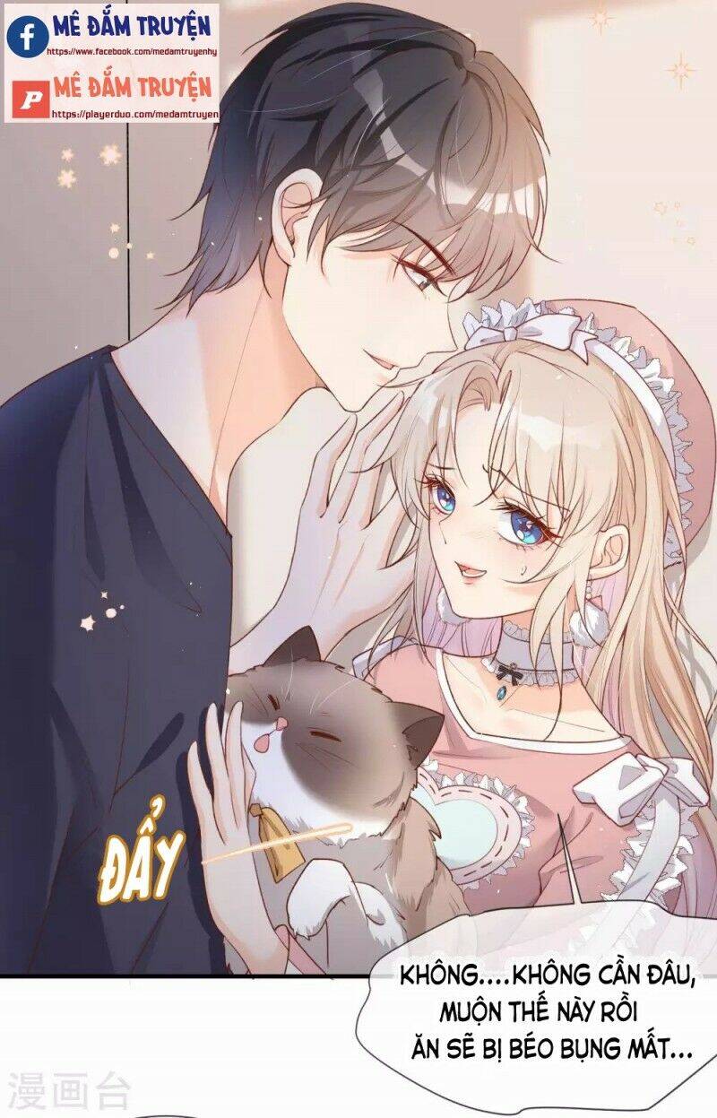 Lục Tổng, Vợ Ngài Lại Lên Top Tìm Kiếm Nữa Rồi! Chapter 4 - Trang 2