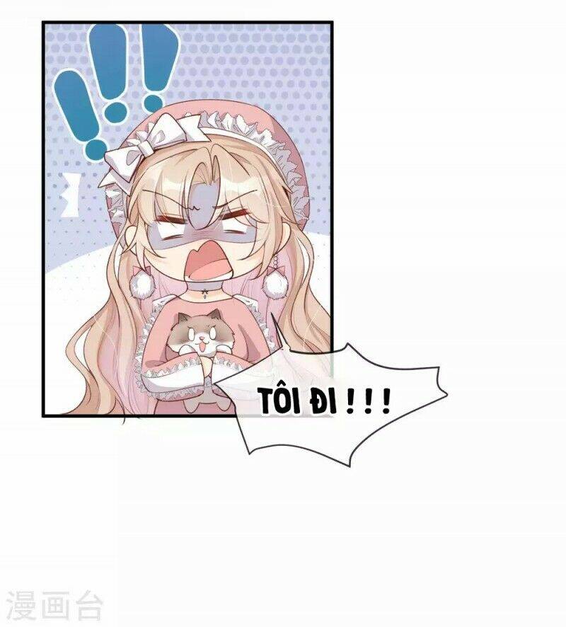 Lục Tổng, Vợ Ngài Lại Lên Top Tìm Kiếm Nữa Rồi! Chapter 4 - Trang 2