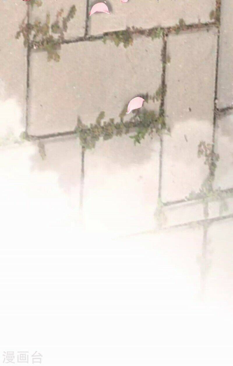 Lục Tổng, Vợ Ngài Lại Lên Top Tìm Kiếm Nữa Rồi! Chapter 5 - Trang 2