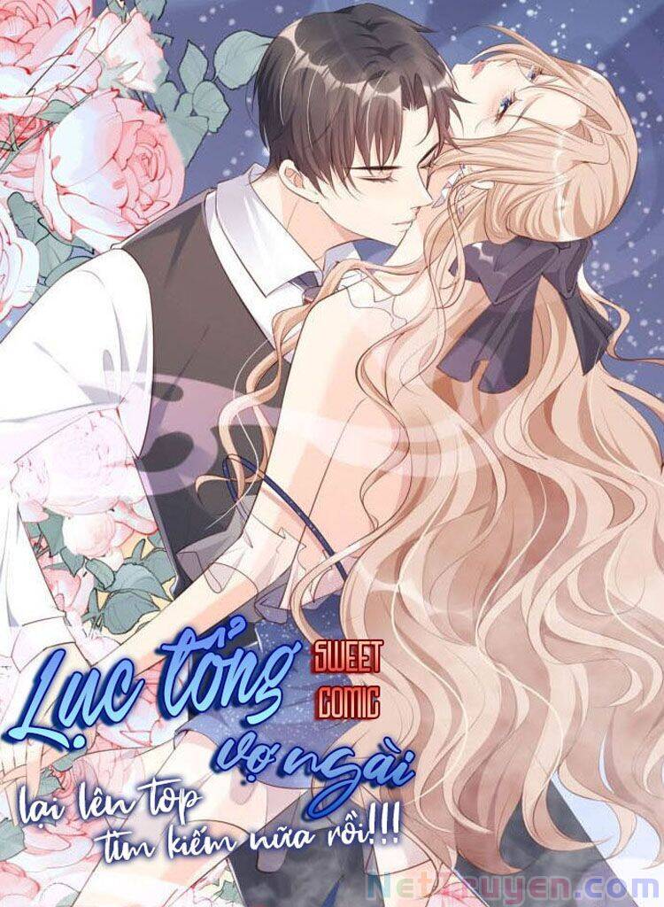 Lục Tổng, Vợ Ngài Lại Lên Top Tìm Kiếm Nữa Rồi! Chapter 9 - Trang 2