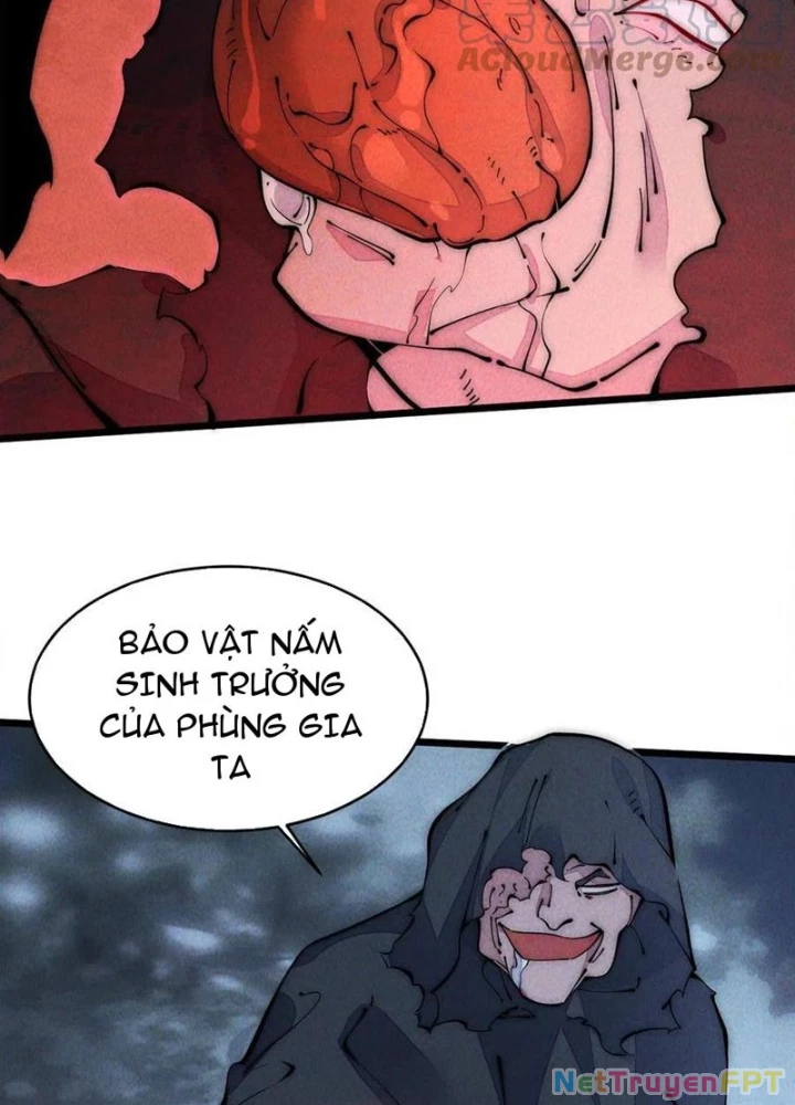 Lui Ra Phía Sau Để Vi Sư Tới Chapter 42 - Trang 2