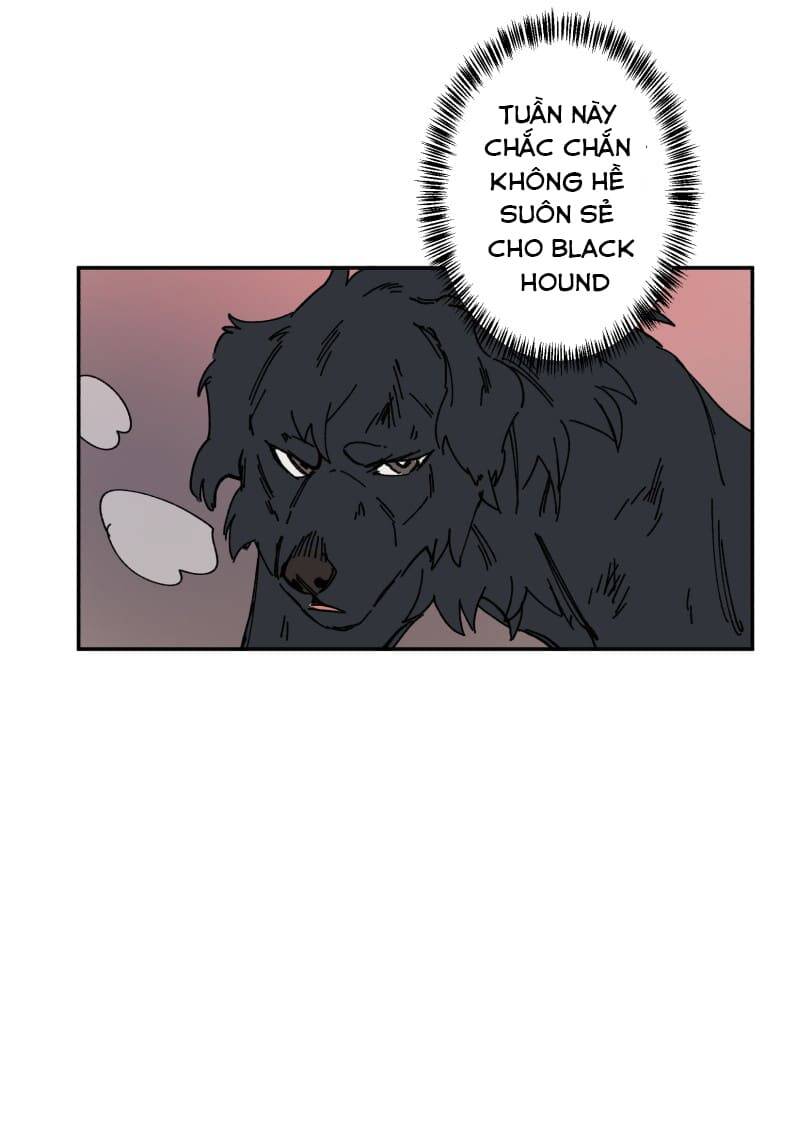 Lumine Chapter 106 - Trang 2