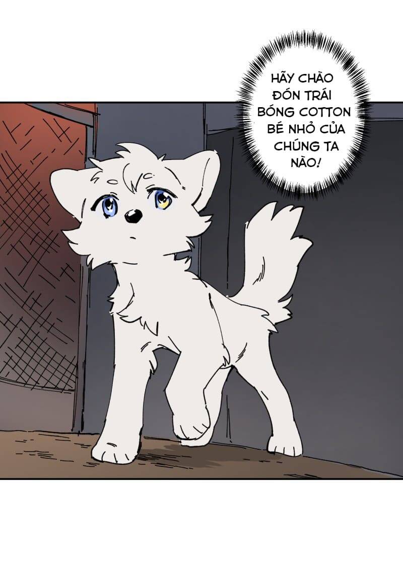 Lumine Chapter 106 - Trang 2