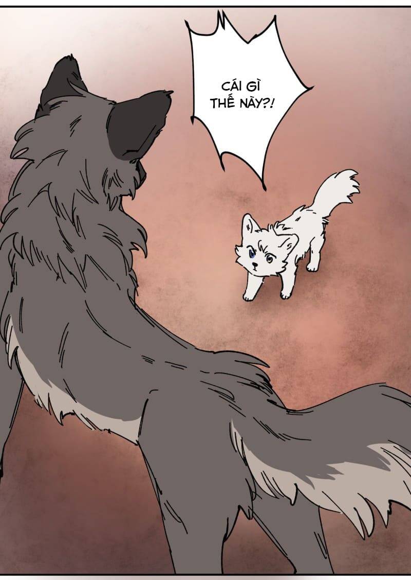 Lumine Chapter 106 - Trang 2