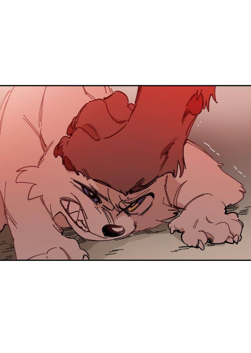 Lumine Chapter 107 - Trang 2