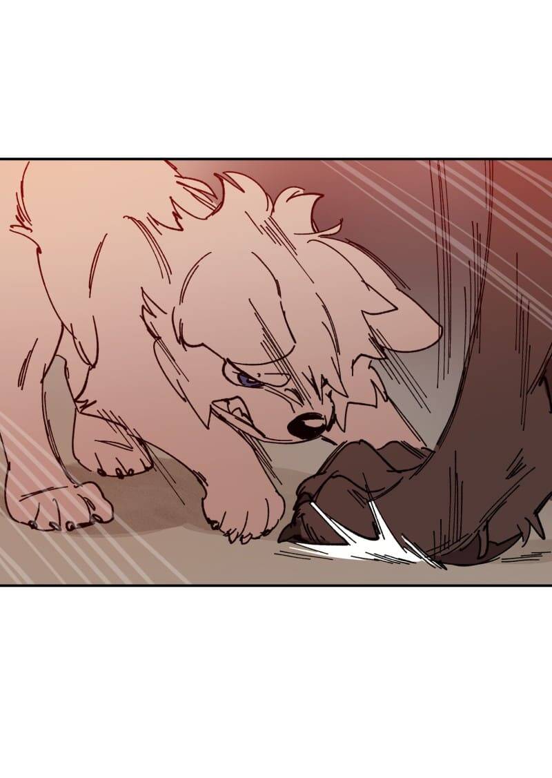 Lumine Chapter 107 - Trang 2