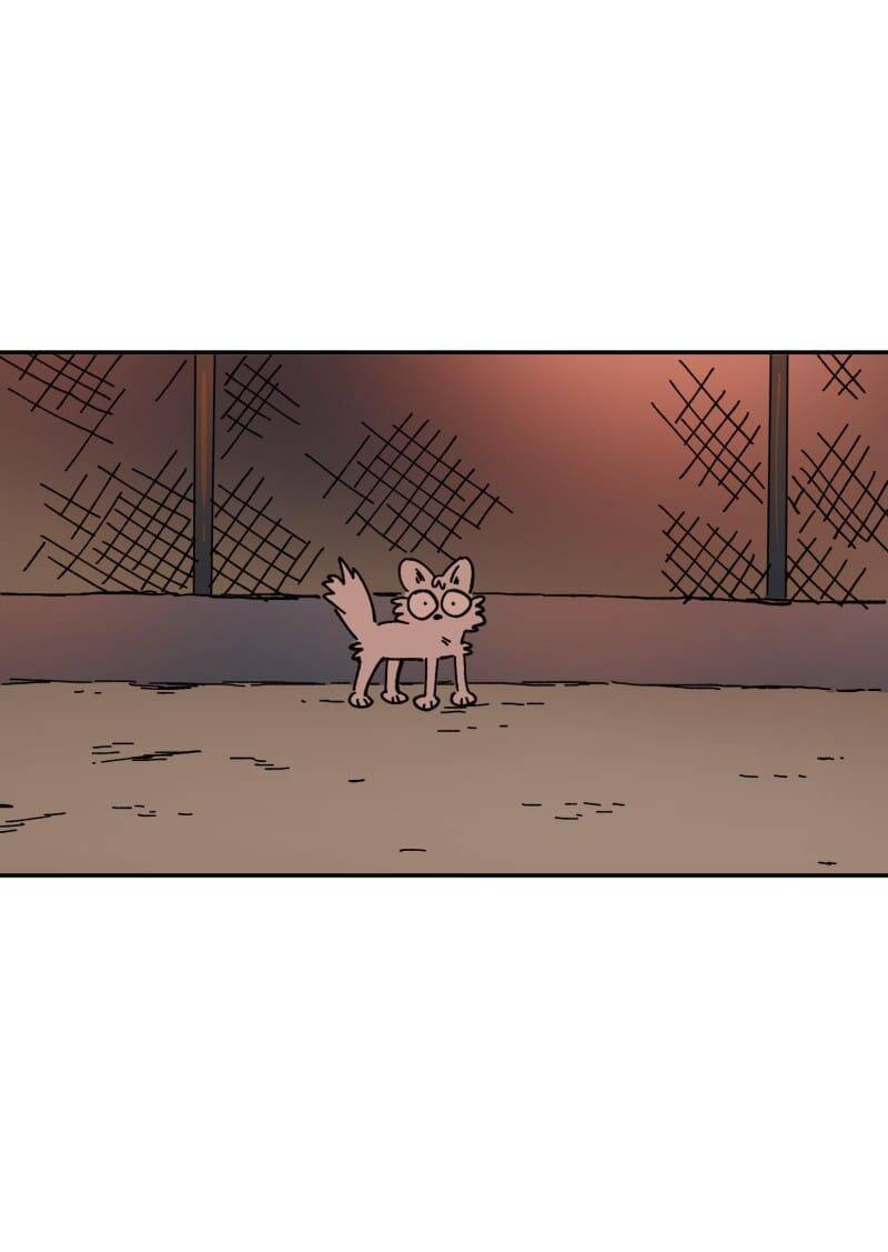 Lumine Chapter 107 - Trang 2