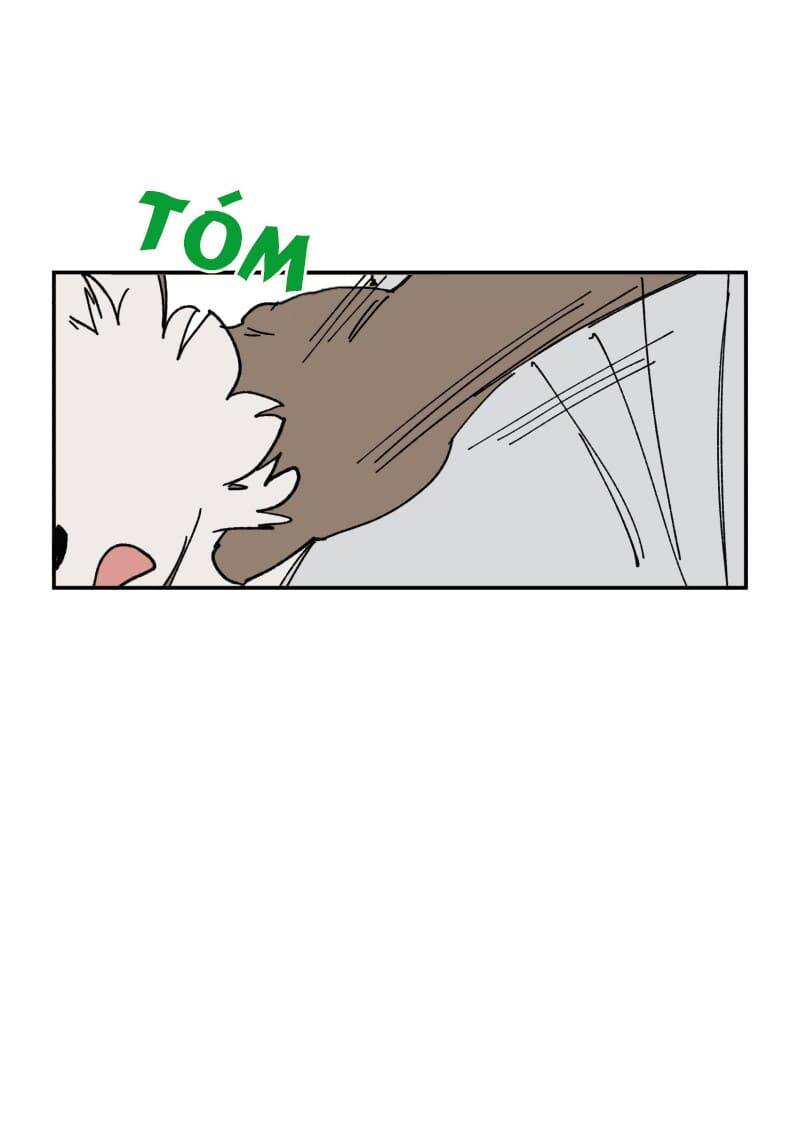 Lumine Chapter 107 - Trang 2