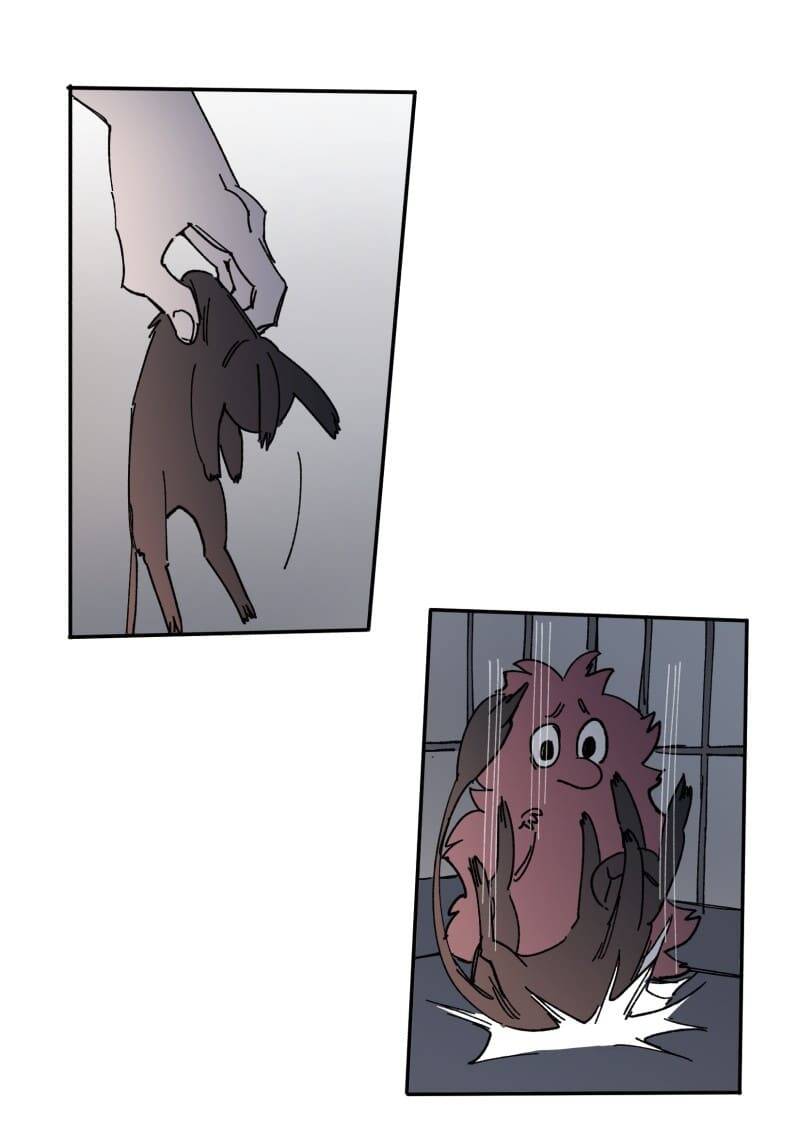 Lumine Chapter 108 - Trang 2