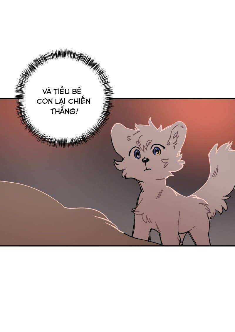 Lumine Chapter 108 - Trang 2