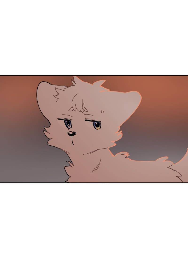 Lumine Chapter 108 - Trang 2