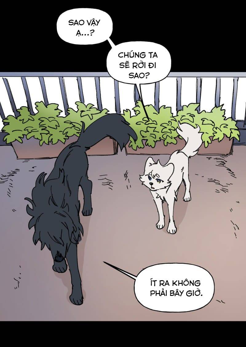 Lumine Chapter 109 - Trang 2