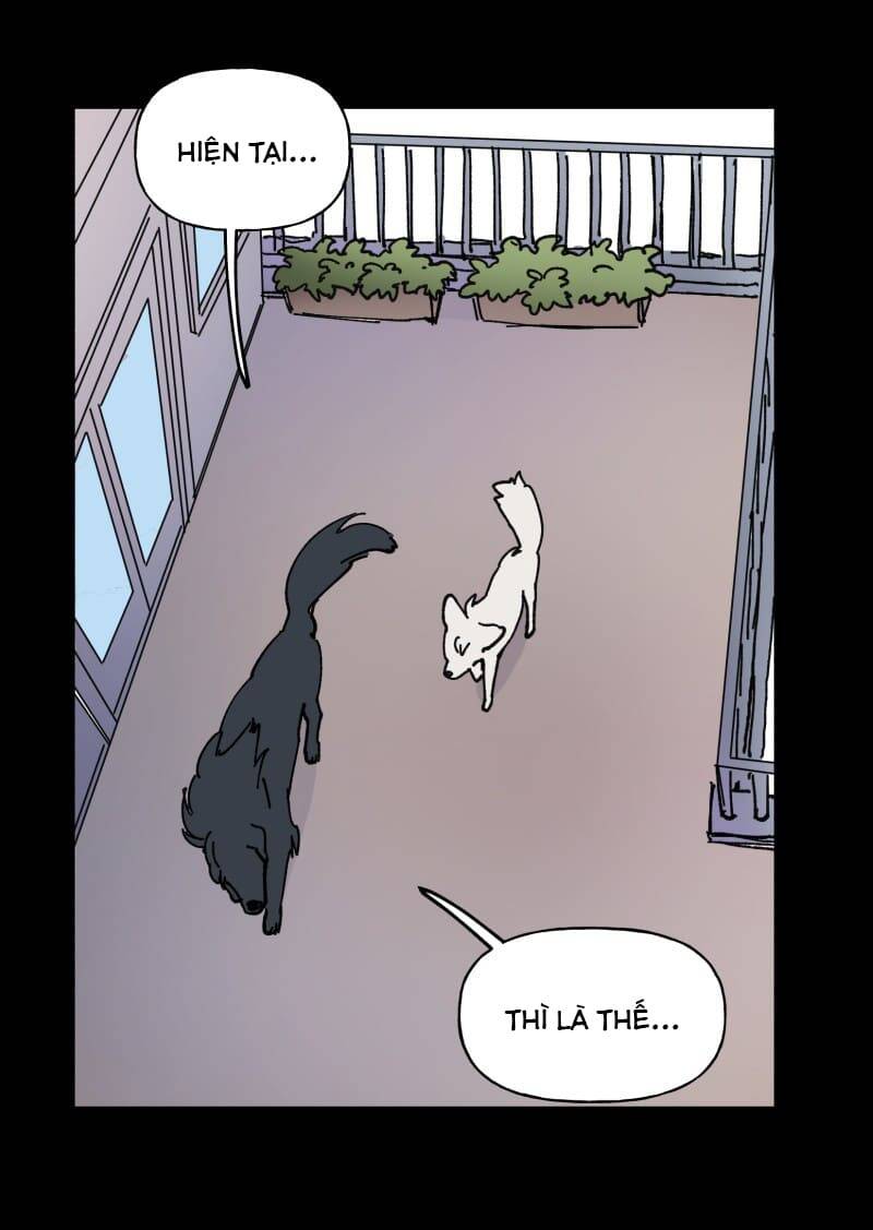 Lumine Chapter 109 - Trang 2