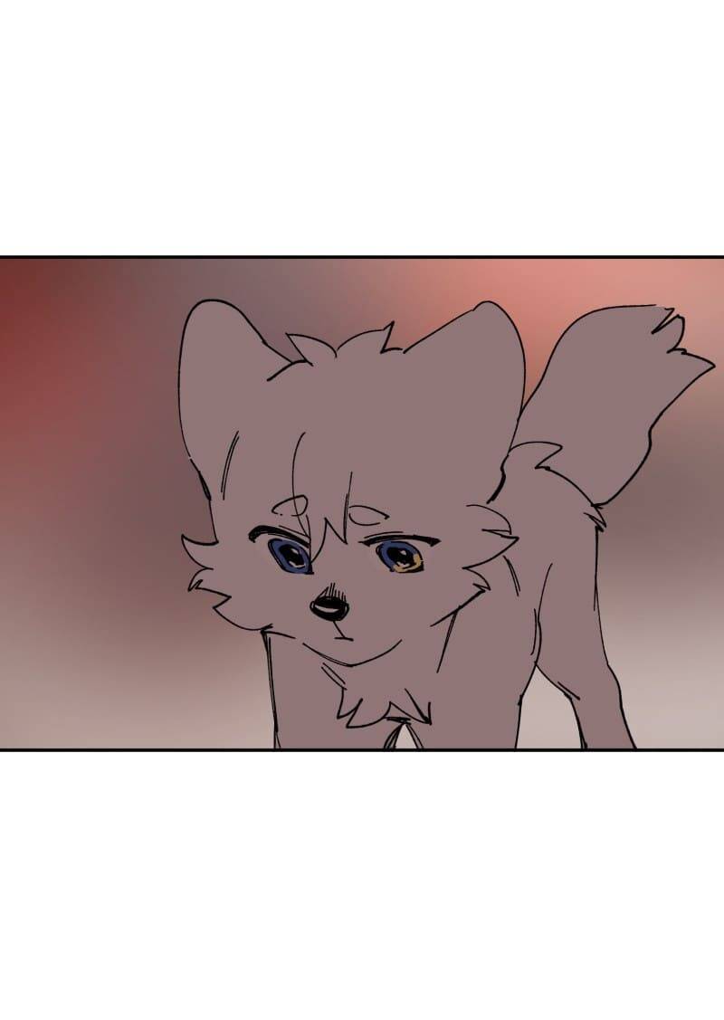 Lumine Chapter 109 - Trang 2