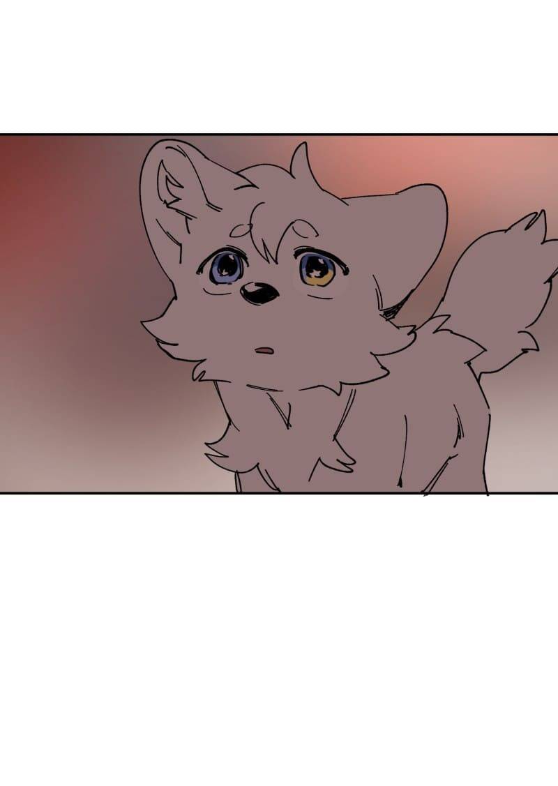 Lumine Chapter 109 - Trang 2